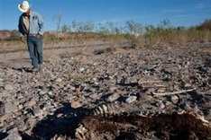 Climate change boosts odds of extreme weather: study