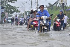 HCM City to install sensor chips at flooding hotspots