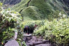 Making our way up Mount Fansipan