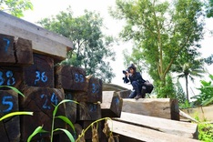 Illegal occupation of forested Central Highlands land