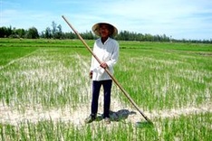 Northern, central regions enter drought season