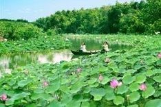 Lang Sen Wetland Reserve becomes Vietnam’s 7th Ramsar site