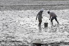 Vietnam hit by worst drought in 90 years