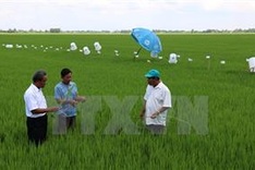 Vietnam commits to cut greenhouse gases 8% a year by 2030