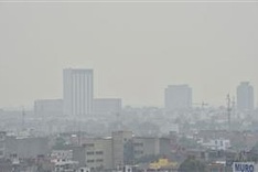 80 percent of world's city dwellers breathing bad air: UN