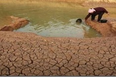 Vietnam’s central, southern regions in serious drought