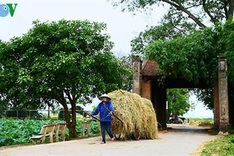 25 European travel companies to survey Hanoi tourism