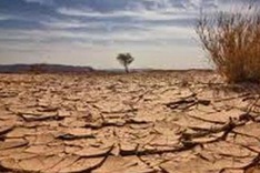 Developed countries urged to pay climate debt
