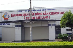 Property market gets frozen, trade floors shut down