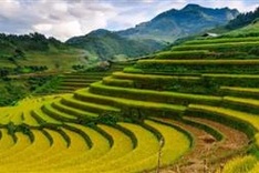 Lao Cai ranked in top 10 world’s most beautiful places