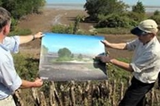 Germany aids forest protection project in Soc Trang