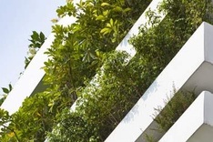 Two Vietnamese houses enter world’s top 10 super skinny