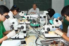 All Vietnamese student contestants awarded at Int’l Biology Olympiad