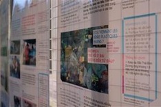 Research on wild lives of plastic on show in Quy Nhon