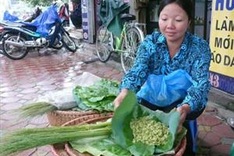 Street vendors to be taught food safety, hygiene