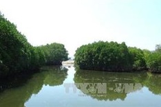 Khanh Hoa moves to protect marine ecosystem