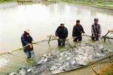Ten sea reserves to be established by 2015