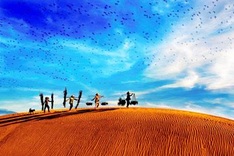 Vietnamese photographer wins FIAP gold medal