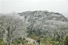 New national park established in Cao Bằng
