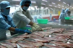 Seafood surge nets exporters $5.37b in first 10 months of 2013