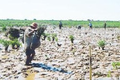 Nation joins in celebration of World Environment Day