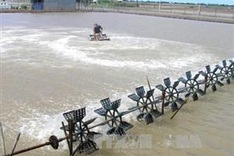 More measures needed for agriculture recovery: Minister