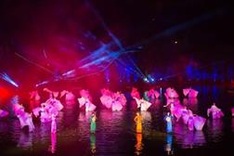 Vietnamese live entertainment show wins Stevie Award