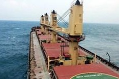 Panama ship runs aground, spills oil near Ly Son Island