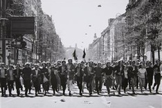 What's on October 29-November 4 (Daily updated)