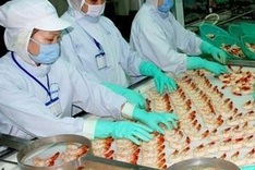 VFA opposes US anti-subsidy investigation