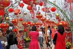 Young flock to see Nhat Tan peach blossoms
