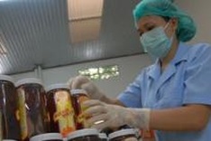 US new technical barrier hinders local honey exports