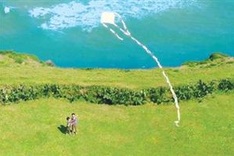 Yellow Flowers on the Green Grass wins Golden Lotus for best feature