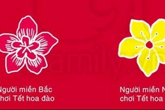 Tet in Hanoi and HCM City: Same but different