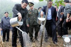 Public planting campaign shows it’s easy being green