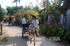 Bến Tre outlines plan to promote tourism investment