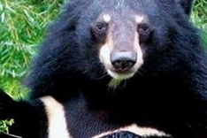 Rescue centre saves smuggled wild animals