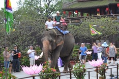 Illegal foreign tour guides fined in Hue