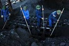 Fuel price rises hit coal electricity producers