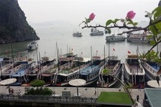 7-16 year-olds enjoy Ha Long Bay discount