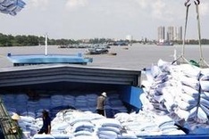 Rice exports set to rise 15 percent in Q1