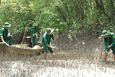 VND3 trillion for climate change adaptation projects