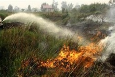 Indonesia accepts international help to combat fires