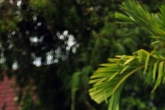 Victoria Thuy Vy crowned Miss Globe International 2014