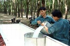 Rubber strategy gets approval