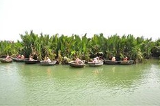 Nipa palm afforestation tour to be launched