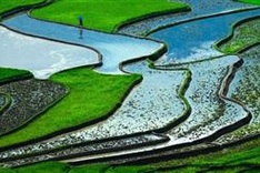 Vietnam's terraced fields among Top 25 surreal landscapes