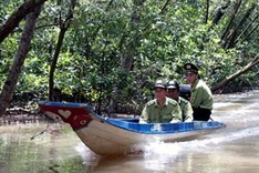 Vietnam takes stock of resources