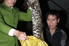 Officials call for stronger wildlife preservation effort