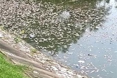 Urgent need for law to control water pollution